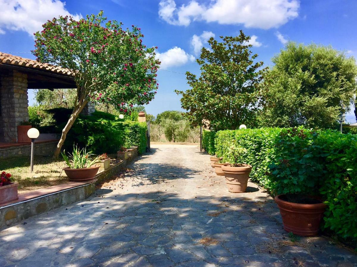 Agriturismo Terranera Скансано Экстерьер фото