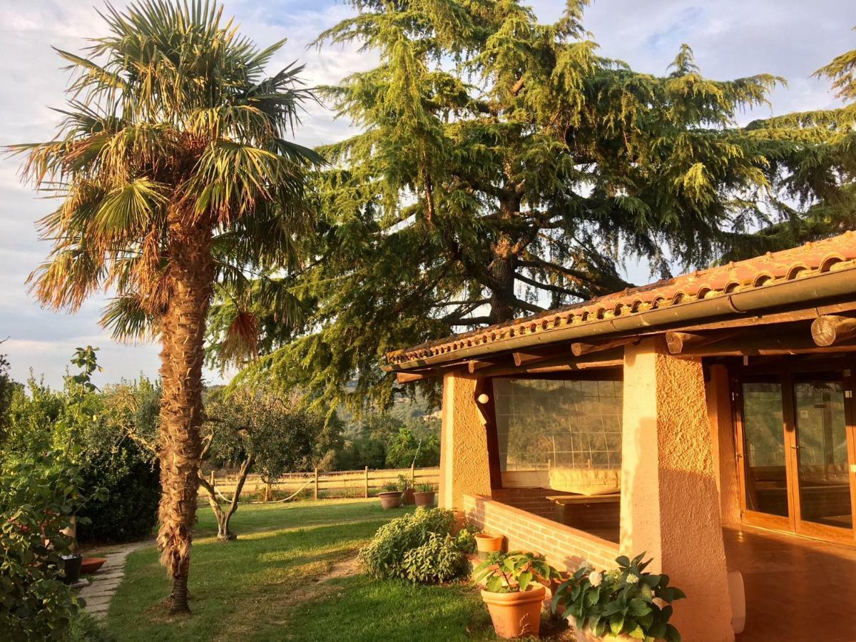Agriturismo Terranera Скансано Экстерьер фото