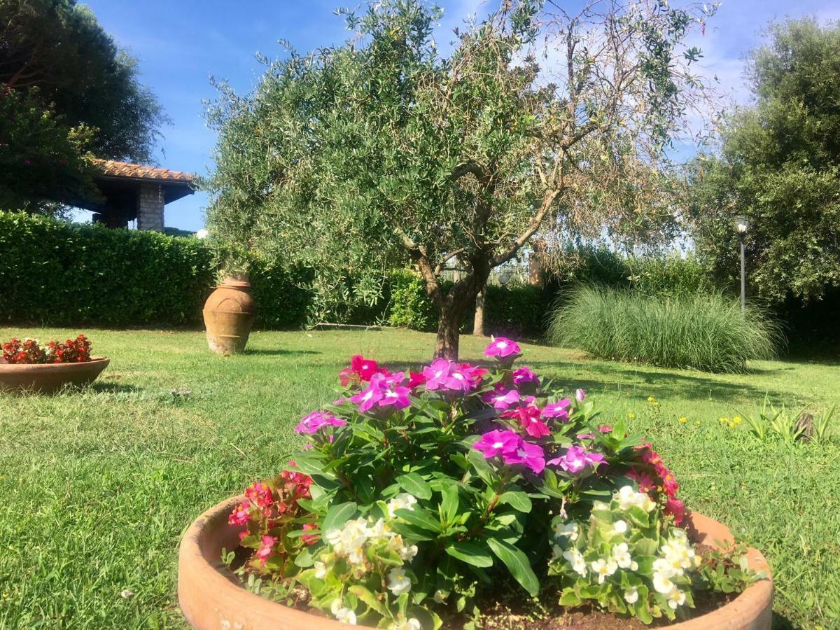 Agriturismo Terranera Скансано Экстерьер фото